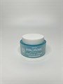 GIINSU крем Hyaluronic Waterfull Ampoule Cream для лица 00122 - фото 15755 GIINSU крем Hyaluronic Waterfull Ampoule Cream для лица 00122 - фото 15755