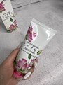 Крем для рук с лотосом Jigott Secret Garden Lotus Hand Cream 6f6fefdb-8e10-419f-a9d6-19335230f483 - фото 17593