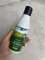 Шампунь для волос с зеленым чаем и хной DEOPROCE GREEN TEA HENNA PURE REFRESH SHAMPOO 218c5a91-a5c1-426c-a717-376a42d32ece - фото 20749