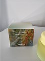 Farmstay Vitamin C & Bifida Energy Toning Cream Крем для лица с витамином С 9290 - фото 21911