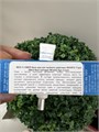 MEDI FLOWER КРЕМ ДЛЯ ВЕК ТРОЙНОГО ДЕЙСТВИЯ TRIPLE EFFECT REAL COLLAGEN WRINKLE EYE CREAM 9416